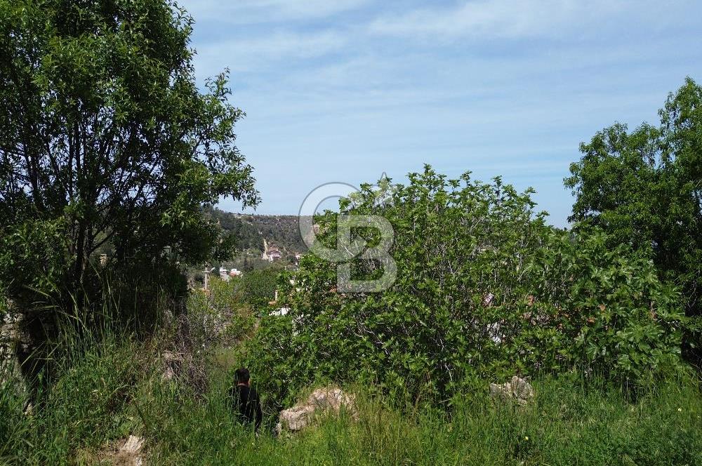 Karaburun Mordoğan Köy'ünde Deniz ve Doğa Manzaralı 117 m² Arsa