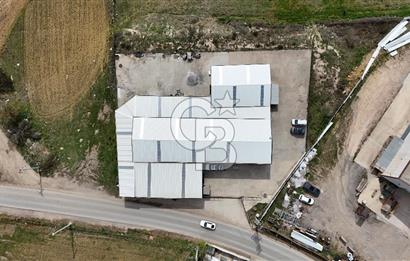 Gebze Pelitlide 7 Dönüm Arsada 1.350 m² Yüksek Tavanlı, Trafolu
