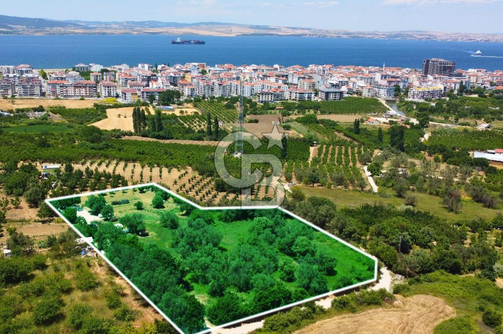 Çanakkale Lapseki Merkez'de Ev Yapılabilir Boğaz Manzaralı Arazi