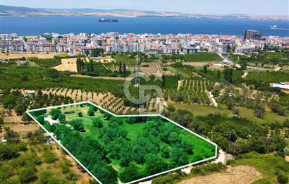 Çanakkale Lapseki Merkez'de Ev Yapılabilir Boğaz Manzaralı Arazi