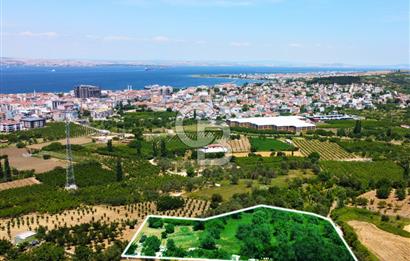 Çanakkale Lapseki Merkez'de Ev Yapılabilir Boğaz Manzaralı Arazi