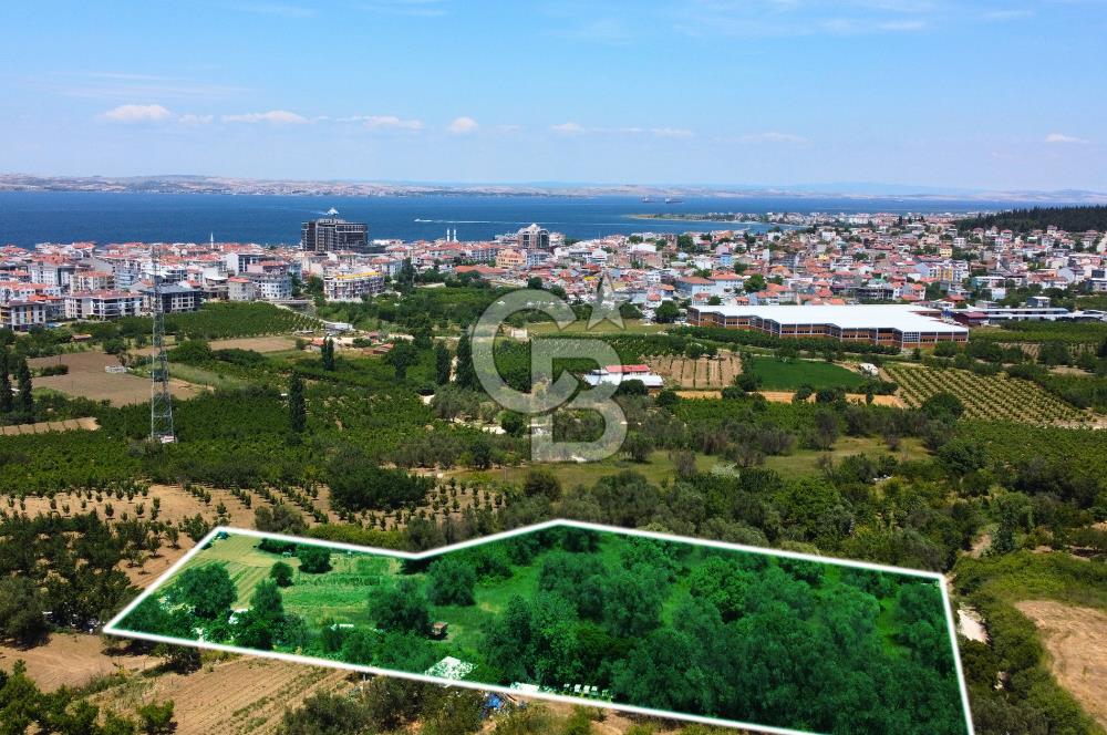 Çanakkale Lapseki Merkez'de Ev Yapılabilir Boğaz Manzaralı Arazi