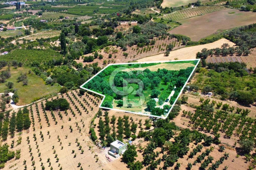 Çanakkale Lapseki Merkez'de Ev Yapılabilir Boğaz Manzaralı Arazi