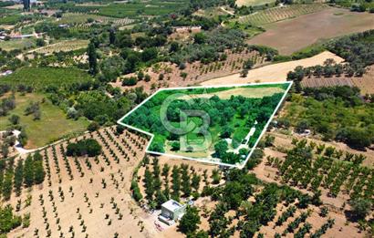 Çanakkale Lapseki Merkez'de Ev Yapılabilir Boğaz Manzaralı Arazi
