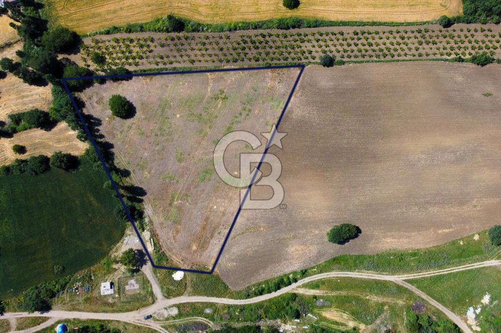 Çanakkale Lapseki Kocaveli'de Panoramik Boğaz ve Köprü Manzaralı 724m² Villa İmarlı Arsa