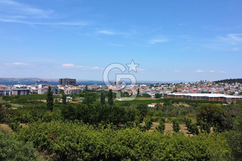 Çanakkale Lapseki Merkez'de Ev Yapılabilir Boğaz Manzaralı Arazi