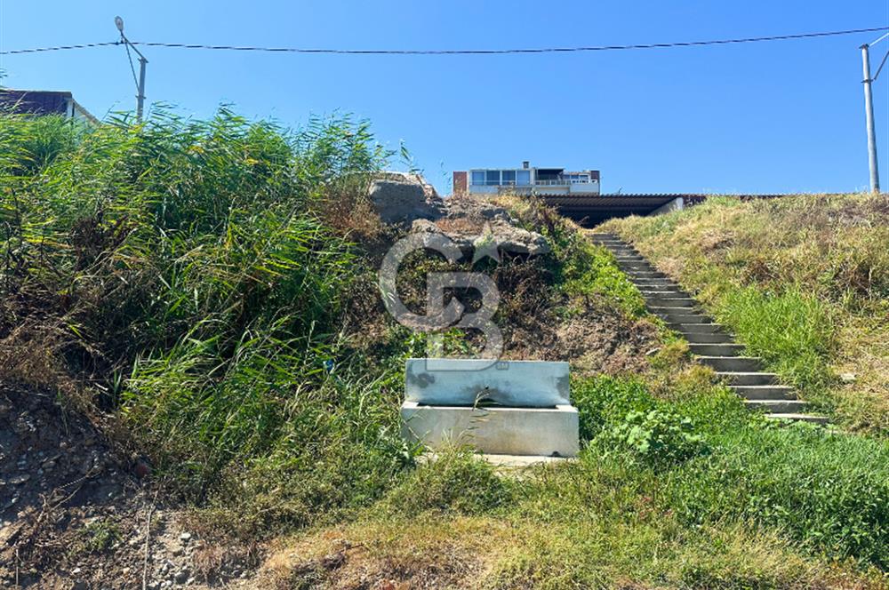 Çanakkale Lapseki Şevketiye'de Hobiye Uygun Denize Sıfır Tarla