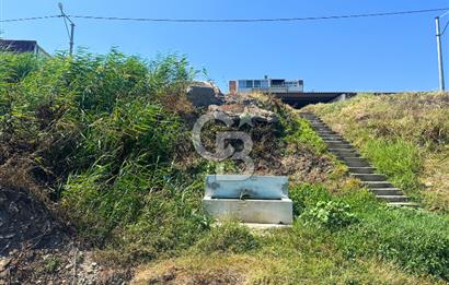 Çanakkale Lapseki Şevketiye'de Hobiye Uygun Denize Sıfır Tarla
