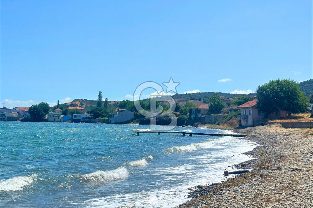 Çanakkale Lapseki Şevketiye'de Hobiye Uygun Denize Sıfır Tarla