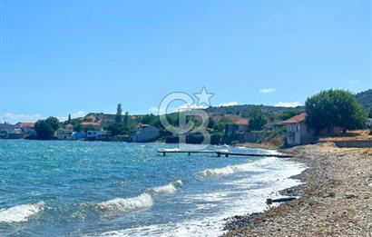 Çanakkale Lapseki Şevketiye'de Hobiye Uygun Denize Sıfır Tarla