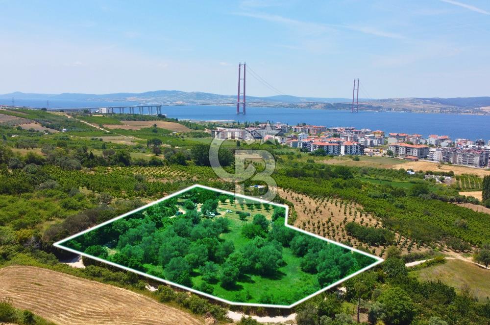Çanakkale Lapseki Merkez'de Ev Yapılabilir Boğaz Manzaralı Arazi