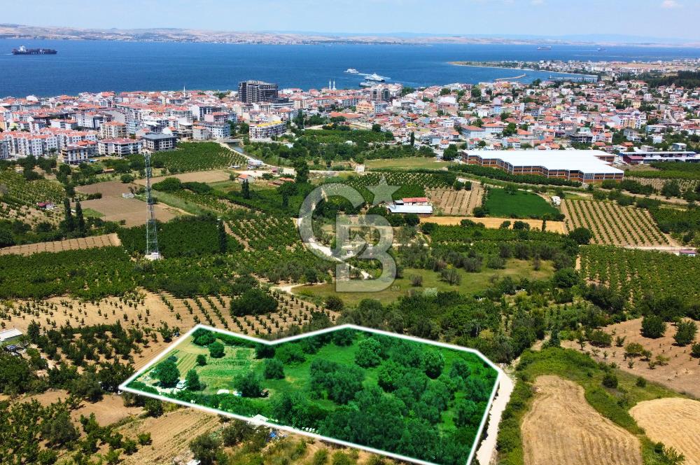 Çanakkale Lapseki Merkez'de Ev Yapılabilir Boğaz Manzaralı Arazi