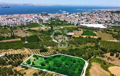 Çanakkale Lapseki Merkez'de Ev Yapılabilir Boğaz Manzaralı Arazi