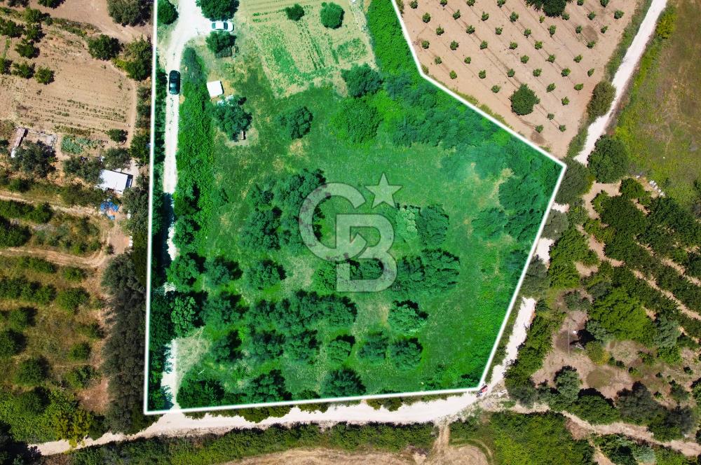Çanakkale Lapseki Merkez'de Ev Yapılabilir Boğaz Manzaralı Arazi