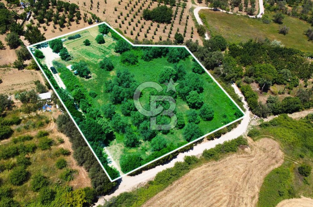 Çanakkale Lapseki Merkez'de Ev Yapılabilir Boğaz Manzaralı Arazi