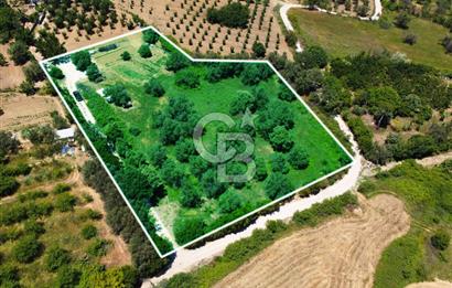 Çanakkale Lapseki Merkez'de Ev Yapılabilir Boğaz Manzaralı Arazi