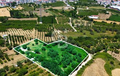 Çanakkale Lapseki Merkez'de Ev Yapılabilir Boğaz Manzaralı Arazi