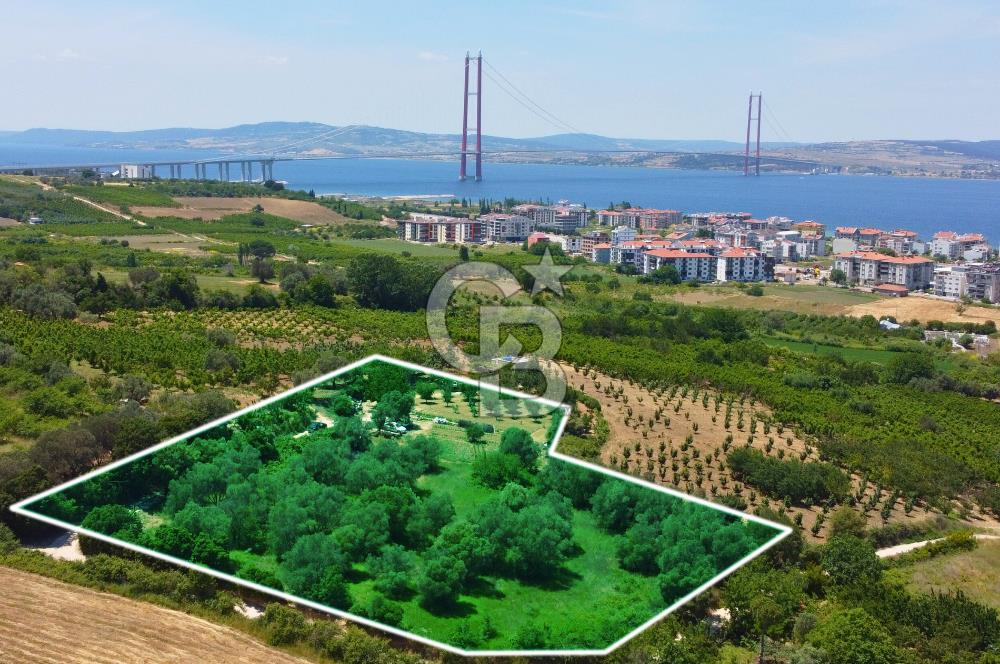 Çanakkale Lapseki Merkez'de Ev Yapılabilir Boğaz Manzaralı Arazi