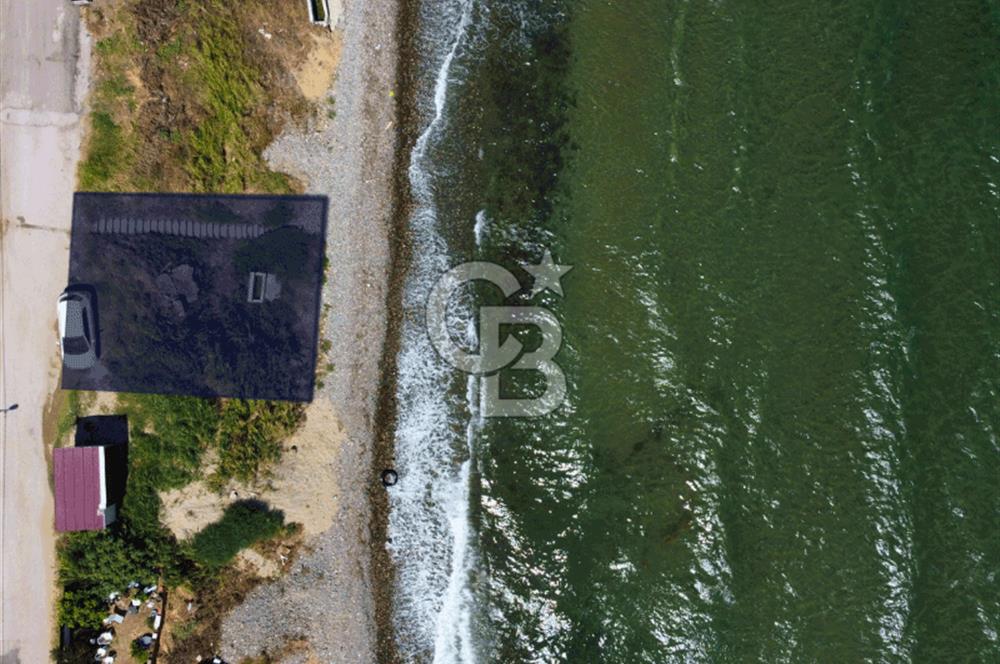 Çanakkale Lapseki Şevketiye'de Hobiye Uygun Denize Sıfır Tarla