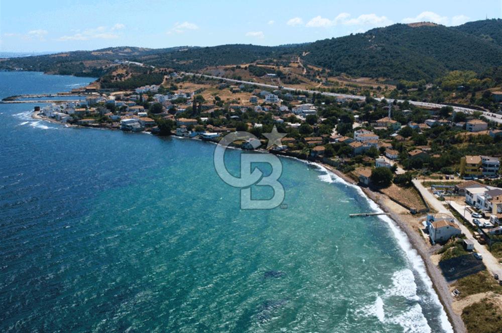 Çanakkale Lapseki Şevketiye'de Hobiye Uygun Denize Sıfır Tarla