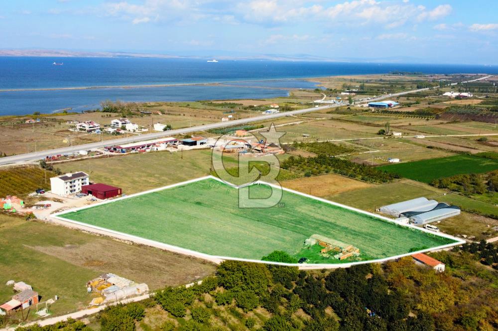 Çanakkale Lapseki Çardak Hemen İnşaat Yapılabilir Villa Arsası