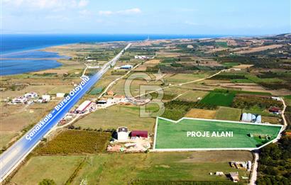 Çanakkale Lapseki Çardak Hemen İnşaat Yapılabilir Villa Arsası