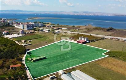 Çanakkale Lapseki Çardak Hemen İnşaat Yapılabilir Villa Arsası