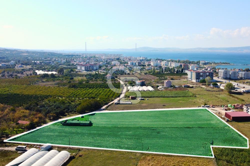 Çanakkale Lapseki Çardak Tüm Alt Yapısı Hazır Boğaz Manzaralı İmarlı Arsa