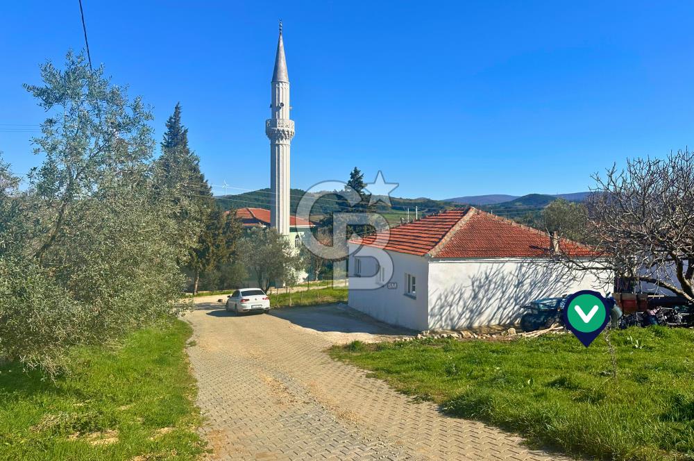 Çanakkale Lapseki Hacıömerler Doğa İçerisinde Köy İçi Köşe Arsa
