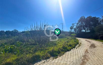 Çanakkale Lapseki Hacıömerler Doğa İçerisinde Köy İçi Köşe Arsa