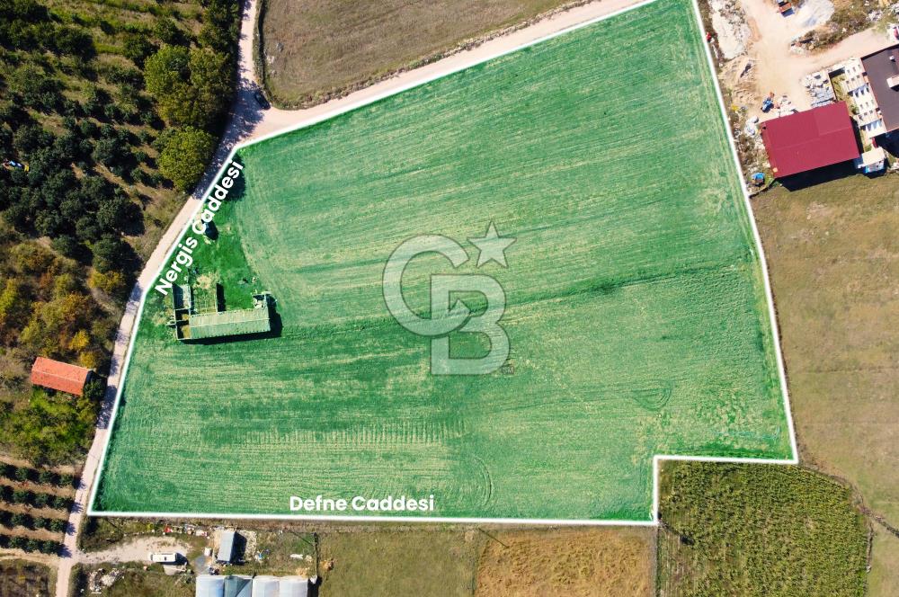 Çanakkale Lapseki Çardak Tüm Alt Yapısı Hazır Boğaz Manzaralı İmarlı Arsa