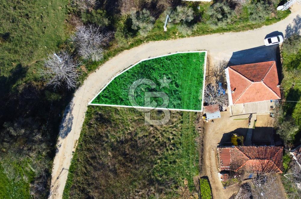 Çanakkale Lapseki Hacıömerler Doğa İçerisinde Köy İçi Köşe Arsa