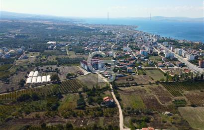 Çanakkale Lapseki Çardak Hemen İnşaat Yapılabilir Villa Arsası