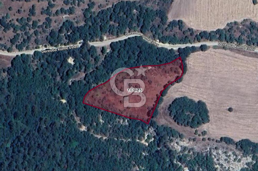 ÇANAKKALE ÇAN DEREOBA KÖYÜNDE YATIRIM FIRSATI 5900 m² TARLA!