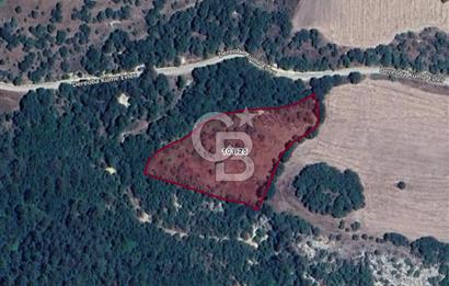 ÇANAKKALE ÇAN DEREOBA KÖYÜNDE YATIRIM FIRSATI 5900 m² TARLA!