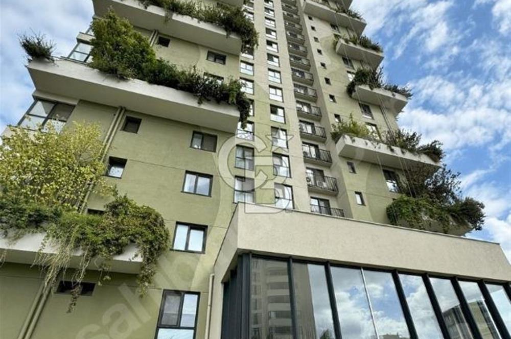CB THETA SİNPAŞ GÖKORMANDA ORMAN MANZARALI SATILIK 3,5+1