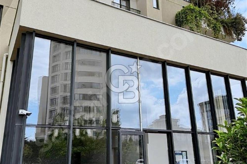 CB THETA SİNPAŞ GÖKORMANDA ORMAN MANZARALI SATILIK 3,5+1