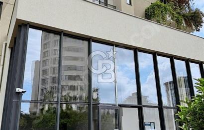 CB THETA SİNPAŞ GÖKORMANDA ORMAN MANZARALI SATILIK 3,5+1
