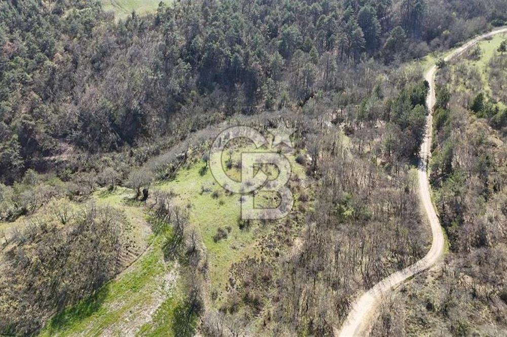ÇANAKKALE ÇAN DEREOBA KÖYÜNDE YATIRIM FIRSATI 5900 m² TARLA!