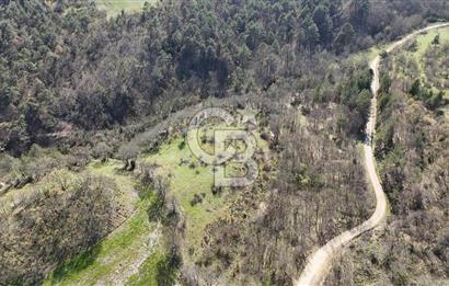 ÇANAKKALE ÇAN DEREOBA KÖYÜNDE YATIRIM FIRSATI 5900 m² TARLA!