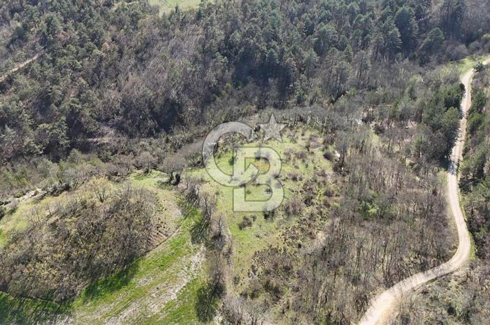 ÇANAKKALE ÇAN DEREOBA KÖYÜNDE YATIRIM FIRSATI 5900 m² TARLA!