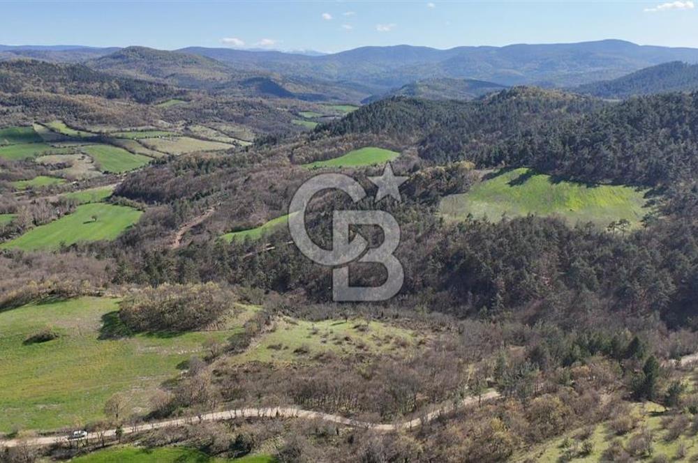 ÇANAKKALE ÇAN DEREOBA KÖYÜNDE YATIRIM FIRSATI 5900 m² TARLA!