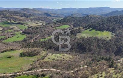 ÇANAKKALE ÇAN DEREOBA KÖYÜNDE YATIRIM FIRSATI 5900 m² TARLA!