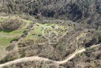 ÇANAKKALE ÇAN DEREOBA KÖYÜNDE YATIRIM FIRSATI 5900 m² TARLA!