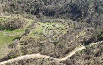 ÇANAKKALE ÇAN DEREOBA KÖYÜNDE YATIRIM FIRSATI 5900 m² TARLA!