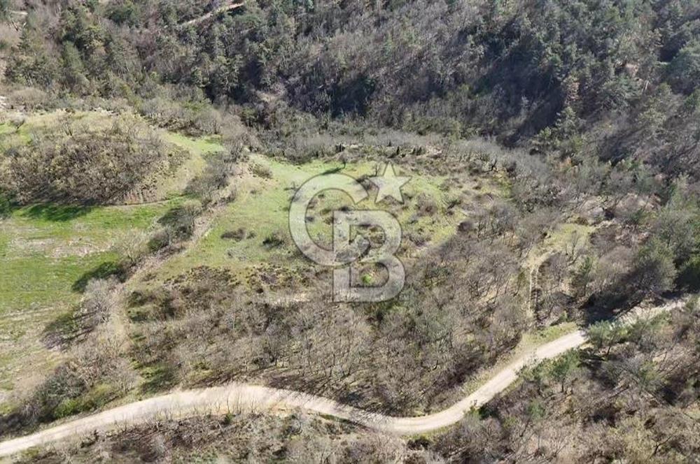ÇANAKKALE ÇAN DEREOBA KÖYÜNDE YATIRIM FIRSATI 5900 m² TARLA!