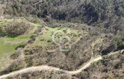 ÇANAKKALE ÇAN DEREOBA KÖYÜNDE YATIRIM FIRSATI 5900 m² TARLA!