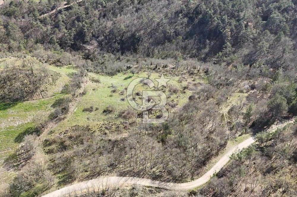 ÇANAKKALE ÇAN DEREOBA KÖYÜNDE YATIRIM FIRSATI 5900 m² TARLA!