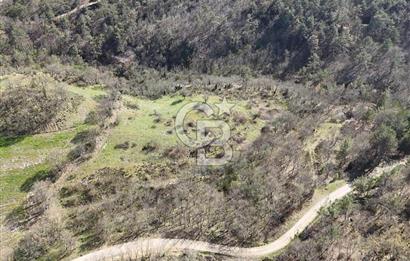 ÇANAKKALE ÇAN DEREOBA KÖYÜNDE YATIRIM FIRSATI 5900 m² TARLA!