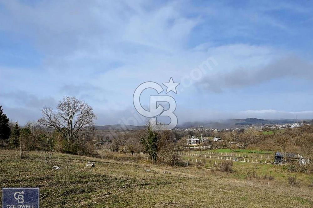 CB THETA ÇATALCA BİNKILIÇ SATILIK HOBİ BAHÇLERİ 250 M2